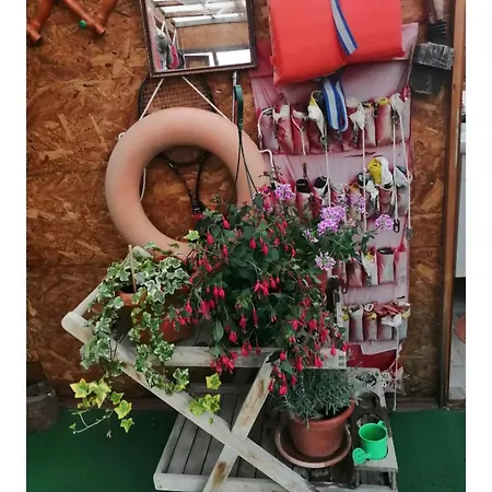 公寓 Loft Robinson,bediferent *