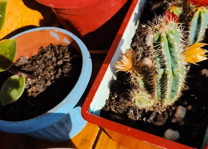 Apartment Loft Robinson,bediferent *